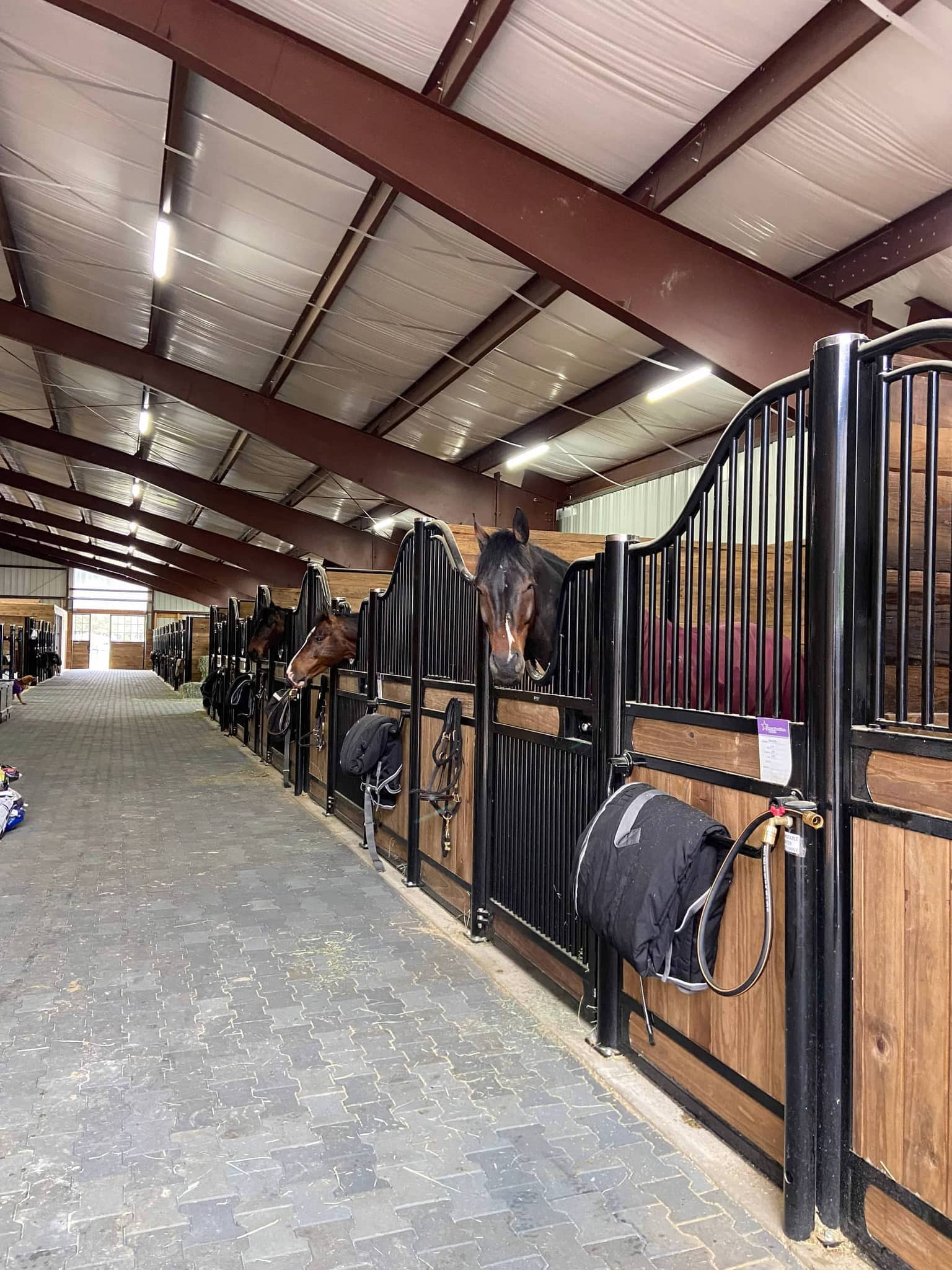 Arena Details — Hidden Creek arena construction phase 5